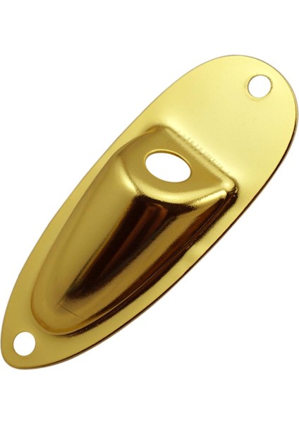 Bas Gitar Çıkışı Soket Plakası W / St Sq Elektrik Gitar Gold Için Vida (Yurt Dışından)