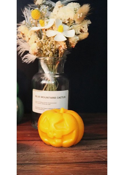 Halloween Kabak Silikon Kalıbı 6,5 cm