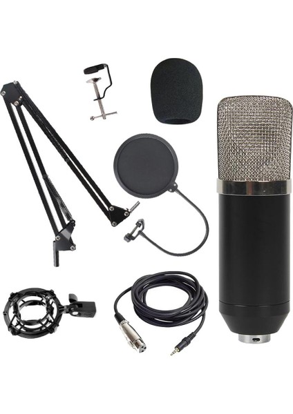 Profesyonel Stüdyo Yayın Kayıt Kondenser Mikrofon Mic Kit Gümüş A (Yurt Dışından)