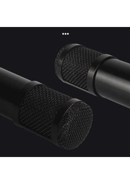 Profesyonel Stüdyo Yayın Kayıt Kondenser Mikrofon Mic Kit Gümüş A (Yurt Dışından)