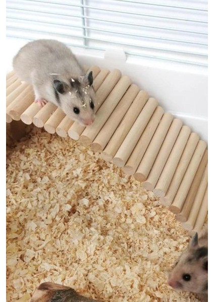 Hamster Uzun Ahşap Köprü, Cüce Hamster Bükülebilir Merdiven,