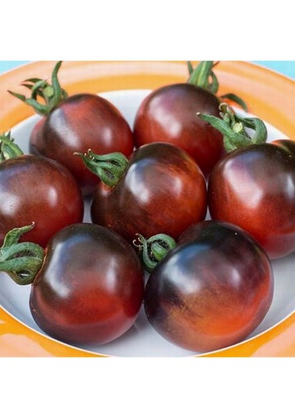 50 Adet Doğal Mor Domates Tohumu + 10 Adet K.renk Gül Çiçek Tohumu