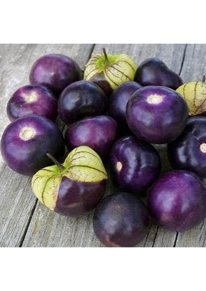 10 Adet Doğal Mor Domates Tohumu + 10 Adet K.renk Gül Çiçek Tohumu