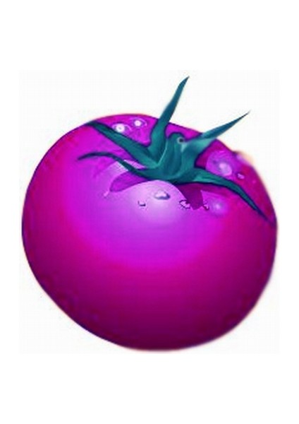 10 Adet Doğal Mor Domates Tohumu + 10 Adet K.renk Gül Çiçek Tohumu