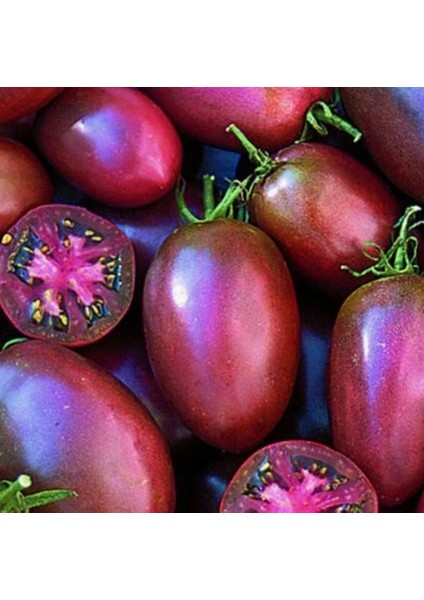 10 Adet Doğal Mor Domates Tohumu + 10 Adet K.renk Gül Çiçek Tohumu