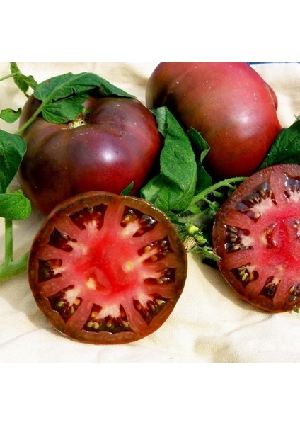 50 Adet Doğal Mor Domates Tohumu + 10 Adet K.renk Lale Çiçek Tohumu