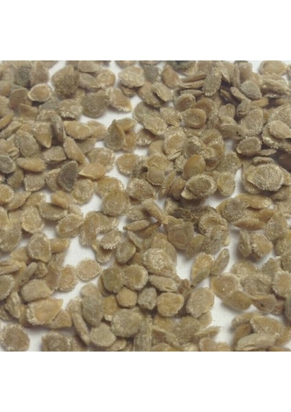 50 Adet Doğal Mor Domates Tohumu + 10 Adet Süs Yoncası Çiçek Tohumu