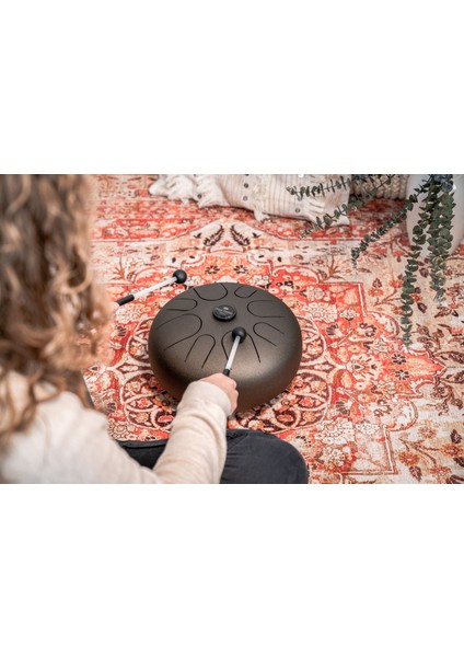 STD2VB 30,5cm Steel Tongue Drum (La Akebono) modelleri