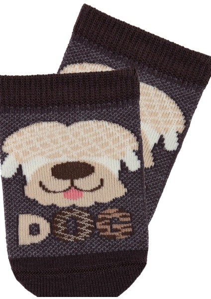 Dog Erkek Bebek Çorabı
