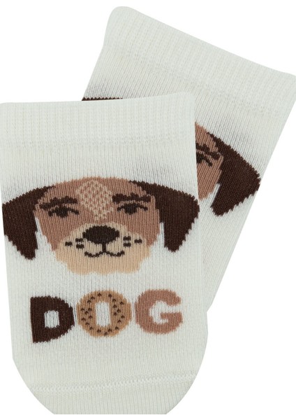 Dog Erkek Bebek Çorabı