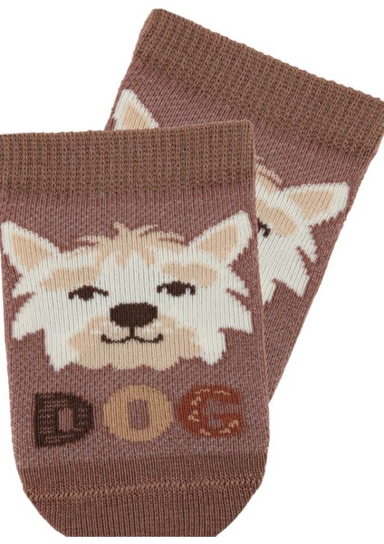 Dog Erkek Bebek Çorabı