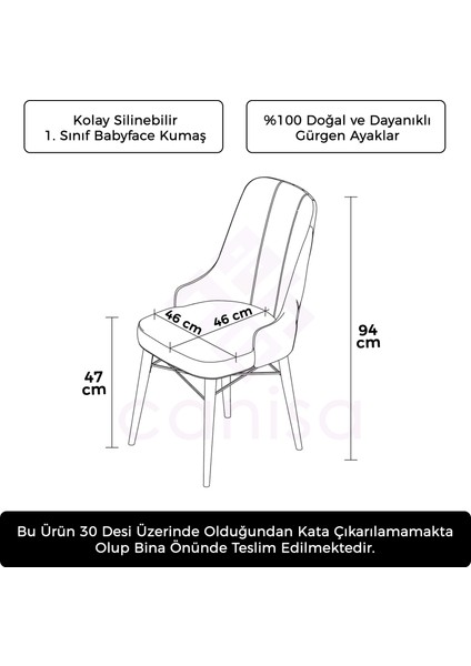 Concept Pare Serisi, Sandalye, 6 Adet Sandalye, Ceviz Gürgen Ayak