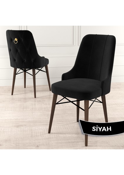 Concept Pare Serisi, Sandalye, 6 Adet Sandalye, Ceviz Gürgen Ayak