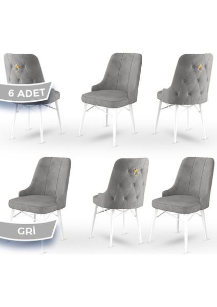 Concept Pare Serisi, Sandalye, 6 Adet Sandalye, Beyaz Gürgen Ayak