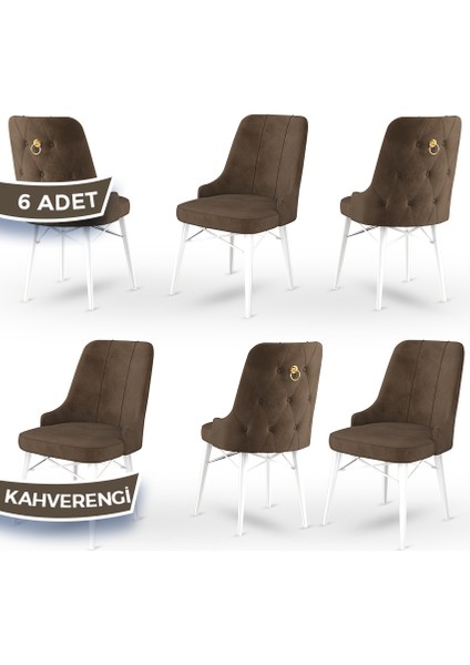 Concept Pare Serisi, Sandalye, 6 Adet Sandalye, Beyaz Gürgen Ayak