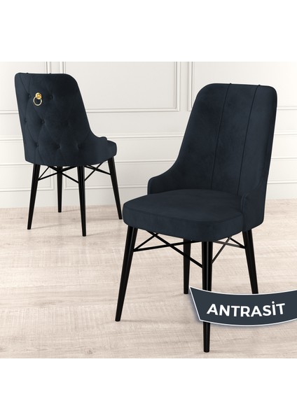 Concept Pare Serisi, Sandalye , 6 Adet Sandalye, Siyah Gürgen Ayak