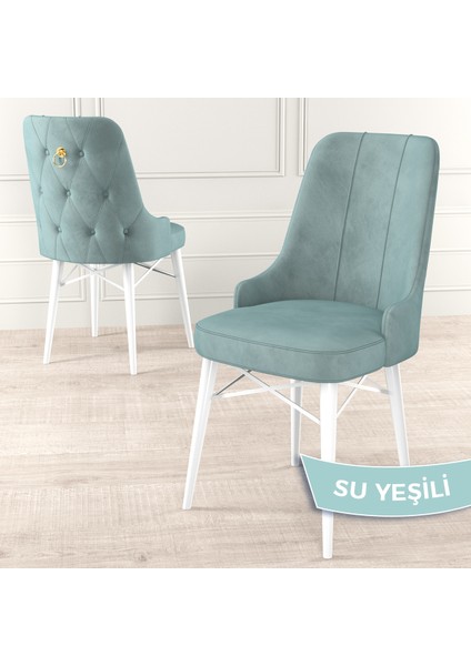Concept Pare Serisi, Sandalye, 4 Adet Sandalye, Beyaz Gürgen Ayak