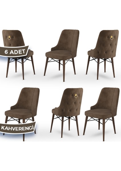 Concept Pare Serisi, Sandalye, 6 Adet Sandalye, Ceviz Gürgen Ayak