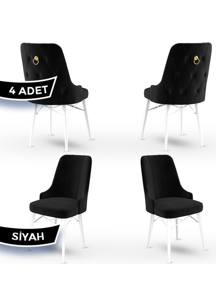 Concept Pare Serisi, Sandalye, 4 Adet Sandalye, Beyaz Gürgen Ayak