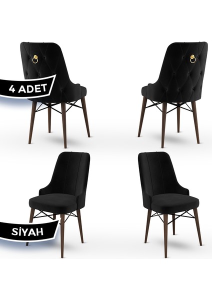 Concept Pare Serisi, Sandalye, 4 Adet Sandalye, Ceviz Gürgen Ayak
