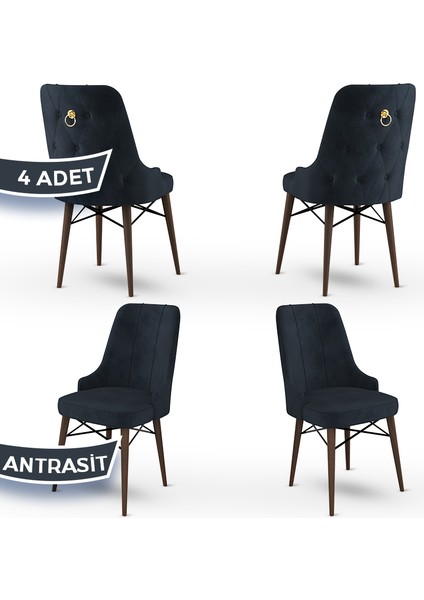 Concept Pare Serisi, Sandalye, 4 Adet Sandalye, Ceviz Gürgen Ayak