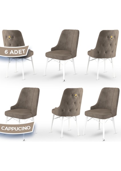Concept Pare Serisi, Sandalye, 6 Adet Sandalye, Beyaz Gürgen Ayak