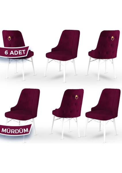 Concept Pare Serisi, Sandalye, 6 Adet Sandalye, Beyaz Gürgen Ayak