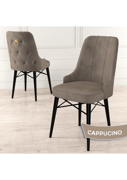 Concept Pare Serisi, Sandalye , 4 Adet Sandalye, Siyah Gürgen Ayak