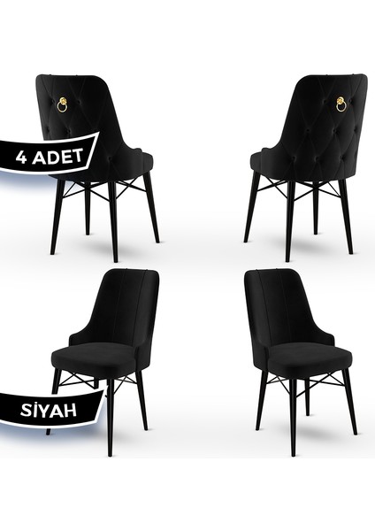 Concept Pare Serisi, Sandalye , 4 Adet Sandalye, Siyah Gürgen Ayak