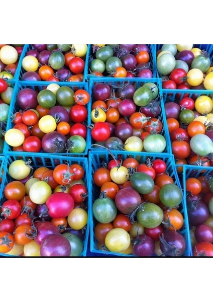 25'li Doğal Ithal Kırmızı Domates Tohumu + 10'lu Kırmızı Gül Çiçek Tohumu