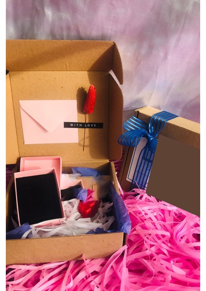 Kadın 925 Ayar Gümüş Sallantılı Safir Taşlı Damla Küpe fiyatları