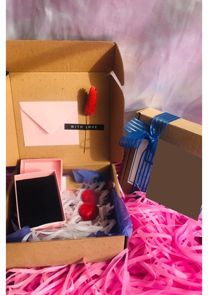 Kadın 925 Ayar Gümüş Prenses Yakut Taşlı Küpe fiyatları