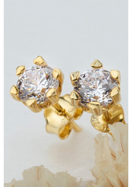 Kadın 925 Ayar Gümüş Tektaş Küpe fiyatları