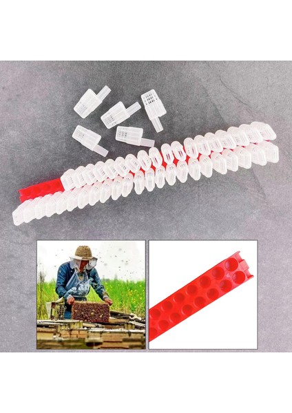 46X Plastik Kraliçe Arı Taşıma Hareketli Tuzak Kafesi Kasa Arı Malzemeleri (Yurt Dışından) modelleri
