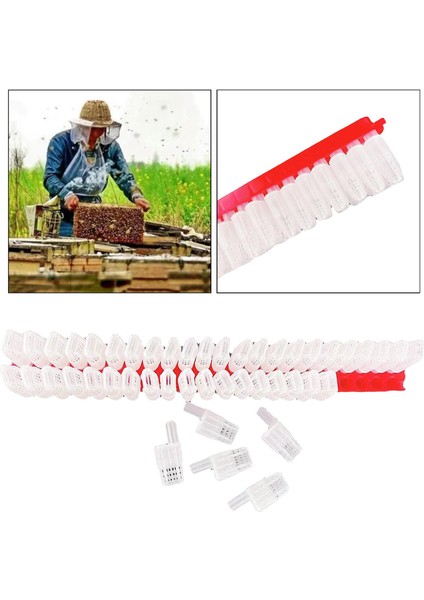 46X Plastik Kraliçe Arı Taşıma Hareketli Tuzak Kafesi Kasa Arı Malzemeleri (Yurt Dışından) fırsatları