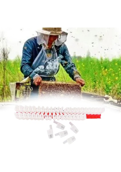 46X Plastik Kraliçe Arı Taşıma Hareketli Tuzak Kafesi Kasa Arı Malzemeleri (Yurt Dışından) indirimleri