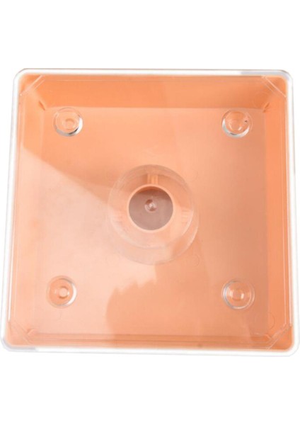 2 Litre Arı Kovanı Üstü (Yurt Dışından)