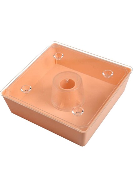 2 Litre Arı Kovanı Üstü (Yurt Dışından) indirimleri