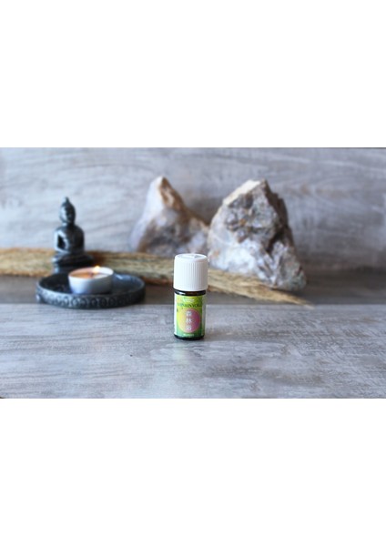 Organik Shinrin Yoku - Orman Banyosu Yağı 5 ml (Eterik/Uçucu)