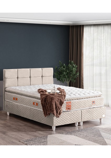 Gümüş Tek Kişilik Baza Başlık Real Pedli Yatak Seti - Krem