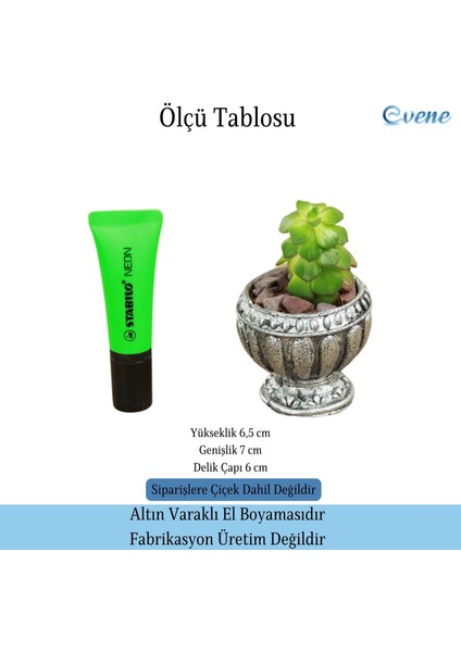 Mini Çiçek Saksı Küçük Sukulent Kaktüs Saksısı Antika Vazo Model