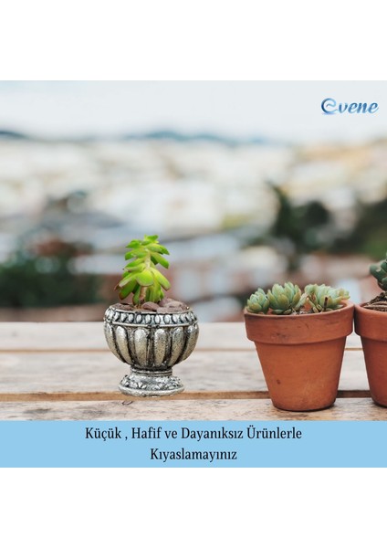 Mini Çiçek Saksı Küçük Sukulent Kaktüs Saksısı Antika Vazo Model