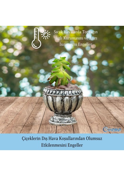 Mini Çiçek Saksı Küçük Sukulent Kaktüs Saksısı Antika Vazo Model