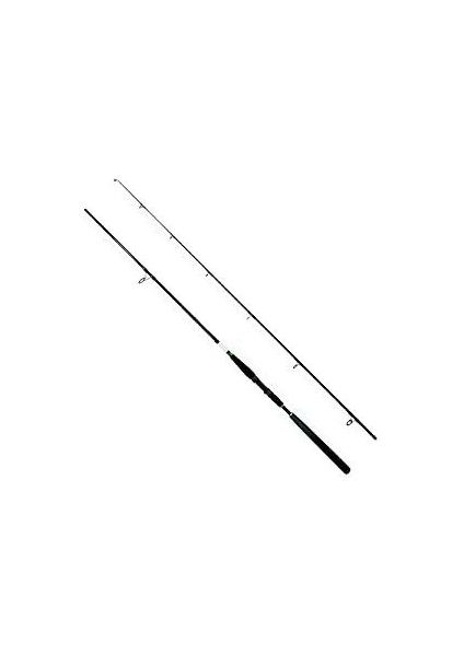 Salt Basser X4 Spin Olta Kamışı 96H 14-40 gr