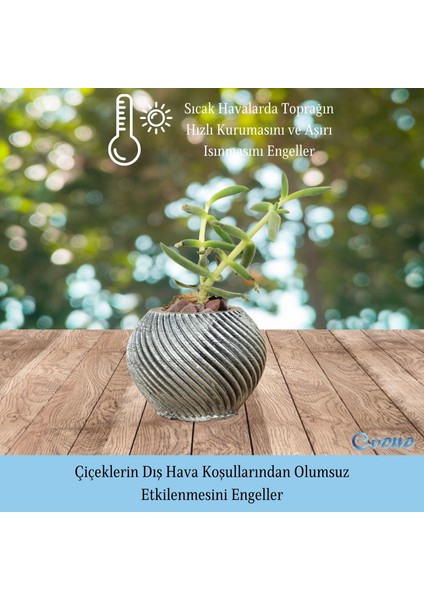 Mini Çiçek Saksı Küçük Sukulent Kaktüs Saksısı Ince Çizgili Spiral Model