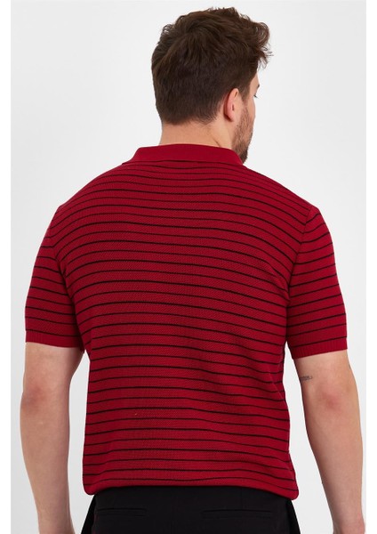 Bordo Erkek Polo Yaka Çizgili Triko T-SHIRT-TRZ19124R04S