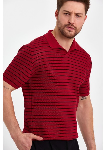 Bordo Erkek Polo Yaka Çizgili Triko T-SHIRT-TRZ19124R04S