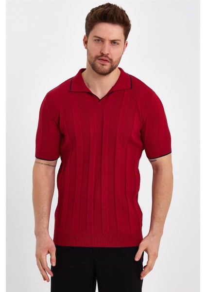 Kırmızı Erkek Polo Yaka Çizgili Triko T-SHIRT-TRZ19109R02S