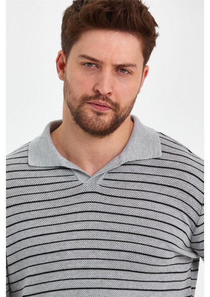 Gri Erkek Polo Yaka Çizgili Triko T-SHIRT-TRZ19124R01S fiyatları