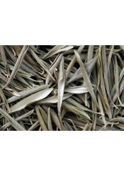 Dökme Bitkiler Zeytin Yaprağı -100 gr